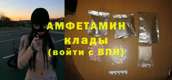 мет Алексин