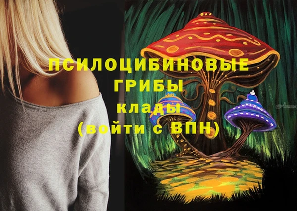 каннабис Алексеевка