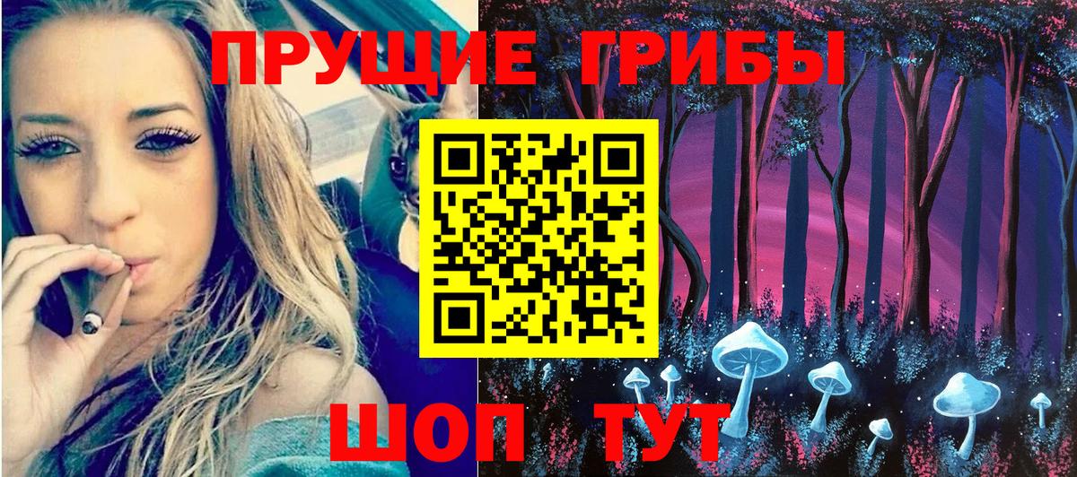 Кириши  Псилоцибиновые грибы мицелий  Вход с VPN  Псилоцибиновые грибы мицелий 