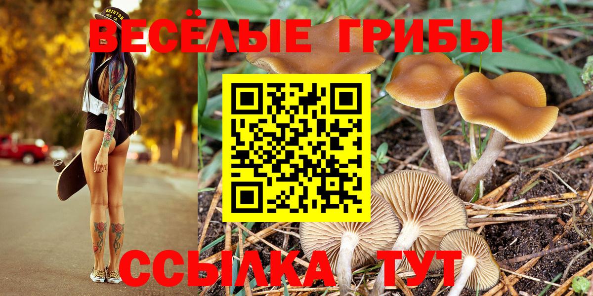 Галлюциногенные грибы прущие грибы Кириши