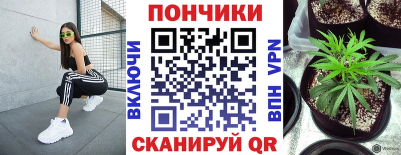 Марихуана планчик  дарнет шоп  Кириши 